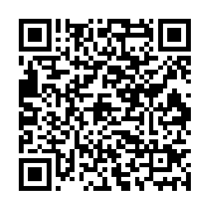 布政分司那边已经将举荐你的公文上呈巡抚行辕了二维码生成