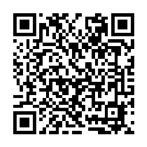 布洛克斯大公顾不上奇怪千夜这种更像是在做研究二维码生成