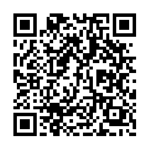 布满了模糊道纹的骨头出现了一条又一条的裂缝二维码生成