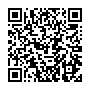 布鲁姆为了莱戈拉斯进行了数个月的弓箭和健身训练二维码生成