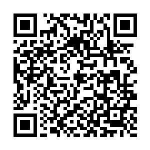 布鲁斯知道张铁在野狼城堡的时候就已经是一级战兵二维码生成