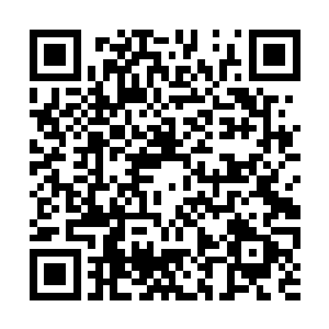 帅呆了的飞行过程……然后又说到了树顶上的奇遇二维码生成
