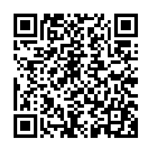 师丝桐只冷漠的看了一眼幻音魔沙种种气息汇聚而去的悬空亭二维码生成