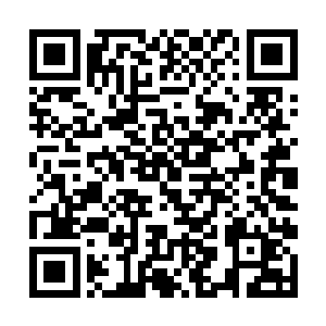 师丝桐只面无表情的垂眸看了一眼脚下一地的碎木片二维码生成