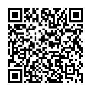 师丝桐和敖火庆默默的释放出了自己属于金仙的气息二维码生成