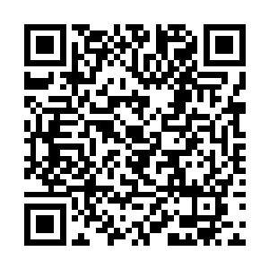 师傅师伯师兄师弟什么的都将她众星捧月般……咳咳二维码生成