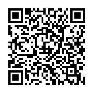 师傅念在我们照顾他多年的份上就收了我们二人为弟子二维码生成