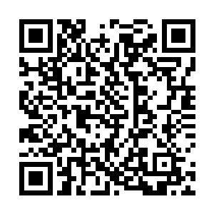 师叔立马从房间里的各处掏出来大风扇对着房间里猛吹二维码生成