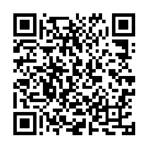 师姐为了让我少受苦就自己一个人将所有的责任都扛下来了二维码生成