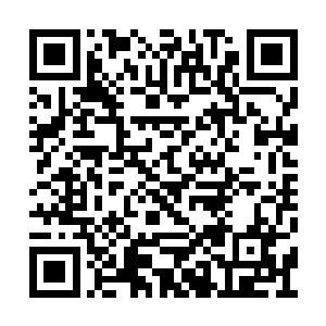 师姐迟早会从别人口中听到这件事找破孩子拼命二维码生成