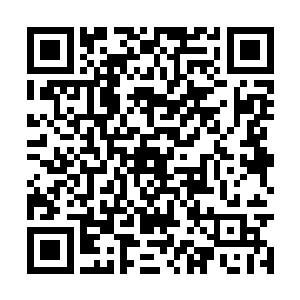 师师与那劫了马车的凶人一道飞滚到路边的积雪里二维码生成