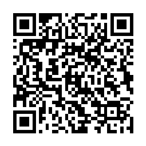 师师却陡然想起去年上京途中那位名叫周佩的小郡主来二维码生成