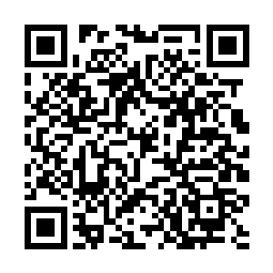 师师顺着两边栽有大树的人群不多的道路往西侧前行二维码生成