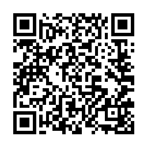 师母们对于没有能够现场的观礼都表示了相当的遗憾二维码生成