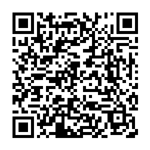 师父……你为什么要放走那个杀人凶手……我恨不得将她千刀万剐……二维码生成