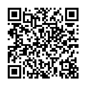 师父常常教导我们要成为阴师就要做到无情……二维码生成