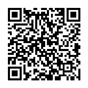 师父留在洞府之中在指点一剑峰跟随出来的那些弟子二维码生成