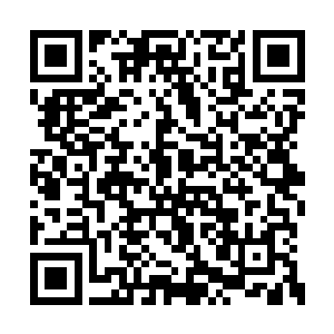 师父说这家伙是他在北方一个域寻到的圣级天才二维码生成