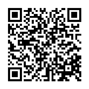 希拉木伦站立起来盾牌小心的护卫着自己的上身二维码生成