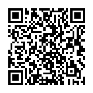 希望……林叔叔你看在两位老人孤单了半辈子的份上二维码生成