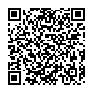希望之城的秩序火种目前来看是最安全的――虽然没有建立避难所二维码生成