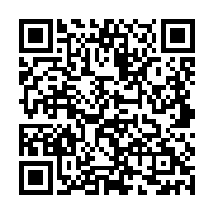 希望今天就能够正式成为这座训练基地的第一位教练二维码生成