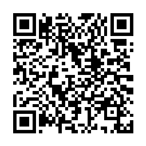 希望今日我与钟师兄之间的一战对各位师兄弟有所帮助二维码生成