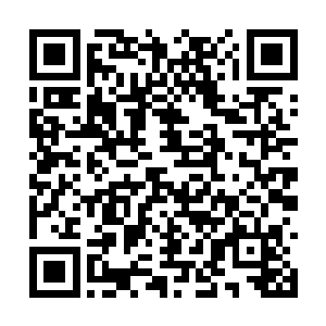 希望他担任今春晚的总导演和明年全奥会的总导演二维码生成