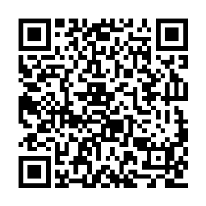 希望他能够参加央视的一个刚刚开办的文艺节目二维码生成