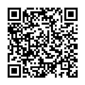 希望他能够成为下一个有资格在斗剑碑上留名的弟子二维码生成