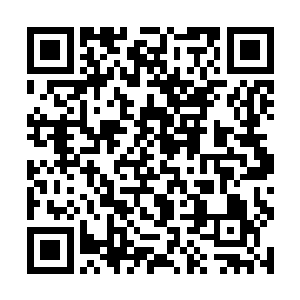 希望以后我们两国在国际和地区的广泛领域加强合作二维码生成