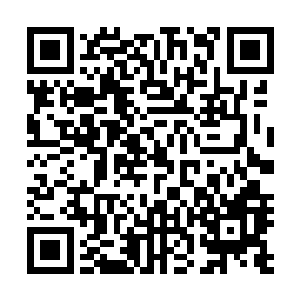 希望伸出了一缕古藤将被小白拍飞的金铃动缠住给拉了会来二维码生成