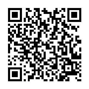 希望你能在你人生的白纸上写下浓墨重彩的一笔二维码生成