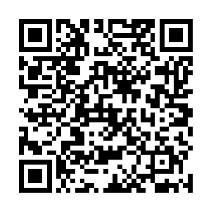希望你能够将我们家族中的几个年轻弟子带去你们许家二维码生成