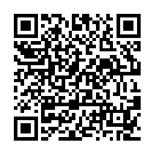 希望你能活的久一点……这样说不定你还能再见到我二维码生成