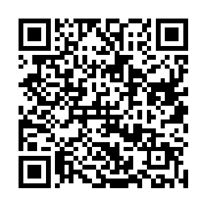 希望冲进去救出同伴的箭头一下就散开变成好几个小队二维码生成