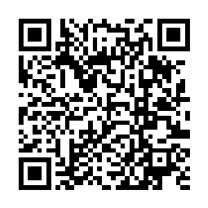 希望列祖列宗在天之灵能够原谅不肖子孙当年之所为二维码生成
