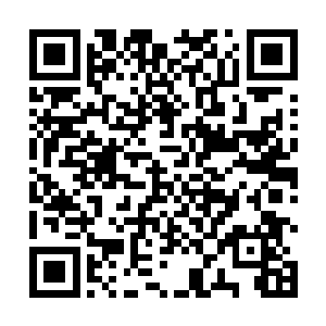 希望可以好运流落到某个世界或者被某个智慧生物捡到二维码生成