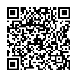 希望可以解决妖蛮一旦气血就失去理智的天生缺陷二维码生成