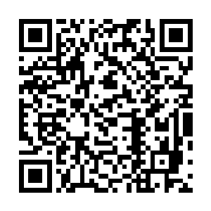 希望和这场战斗划清界限的人早早地就躲到远方去观望了二维码生成