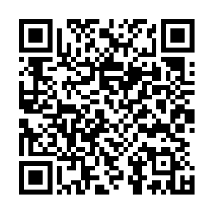 希望孟丽川能加入联邦军以她在虚拟世界中展现出来的天赋二维码生成