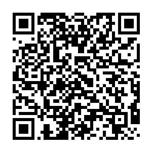 希望常委会能研究这个洼崮区作为全县试点区的乡镇企业改制方案二维码生成