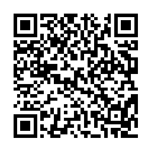 希望弥补一下……然后我花了半个晚上和0科洛丝进行解释二维码生成