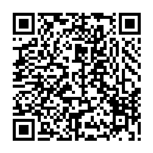 希望您好好想想．况且我听说勇力和谋略使君主感到畏忌的人将难保性命二维码生成