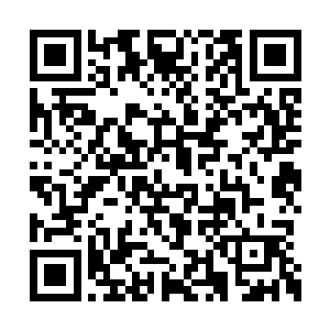 希望我们歌舞团的同志能够精心打造这两个节目二维码生成