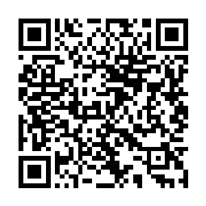 希望我的到来能改变你的命运也能改变大宋的命运二维码生成