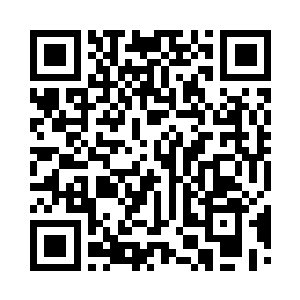 希望接下来的日子里能看到你继续上蹿下跳二维码生成