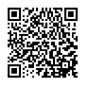 希望用实际行动证明辣椒有多珍视和感恩大家的支持和厚爱……二维码生成