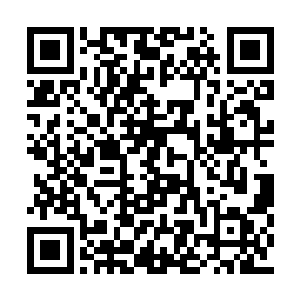 希望能借助宗门的威势让这位主神稍微忌惮一下二维码生成