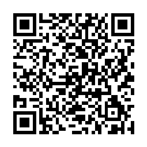 希望能够借助目前还没有归顺离天界主的那些势力二维码生成